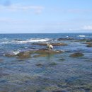 다모아펜션 이미지