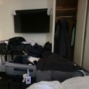 테바코 | 가고시마에서 이부스키로 가는 타마테바코(이부타마) 후기