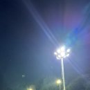 양재시민의숲 공원 테니스장 이미지