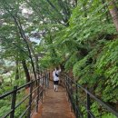 6/13(토)힐링숲길 치악산둘레길11코스 한가터길,소금산그랜드밸리 울렁다리&amp;출렁다리,원주중앙시장&amp;도레미시장 이미지