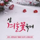 신안서원 | 겨울 상식을 뒤집다, 바다 옆 3km 애기동백이 붉게 물든 전남 신안 '섬 겨울꽃 축제'