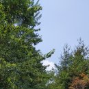 지도공원(테니스장 옆) 이미지