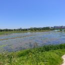 남경약국 이미지