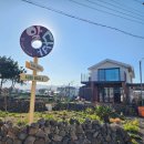 제주애월당귤 이미지