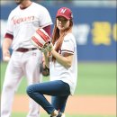 솔지