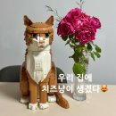 레고 치즈고양이 21376 조립 후기 | 레고 턱시도고양이 vs 치즈고양이