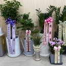 사랑해한의원 이미지