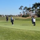 롯데골프 이미지