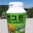 썬그린 이미지