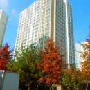 GS25 능동이너매스 이미지