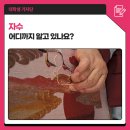 일월수다라니주머니 | 자수, 어디까지 알고 있나요?