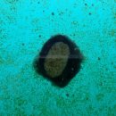 바다마중 이미지