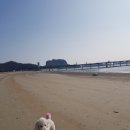 충장로미쓰멍 이미지