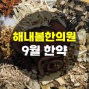해내봄한의원 네이버블로그