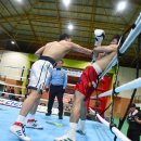 용인대복싱클럽 이미지