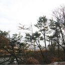 [2012.2] 해솔마을 후기 및 에코가스 간단 사용기 + 궁평항 방문기 ^^