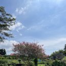 오르비에터 이미지