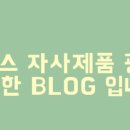 몽핀(monpin) 이미지