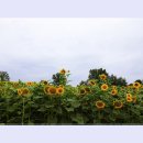 안성목장 이미지