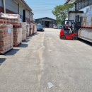 거상애견 이미지