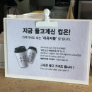 부산광역시 수영구 수영로 524   (광안동) 대원슈퍼 앞 | 화달구연탄쭈꾸미 광안점 내돈내산 / 부산 로또 명당 대원슈퍼마켓 / 애코랜드 해운대점 귀여운 허스키