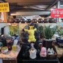 논가집옹심이