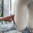 천지 애견 이미지