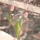 더로맨틱하우스 이미지