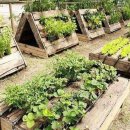 가보농장 이미지