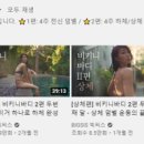 빅시스 네이버블로그
