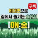 온숲 이미지