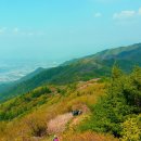 용은산 네이버블로그