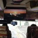 골든코스트 Daum카페