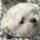 (11/23) 성인_자이언트 얀 가방 만들기 | 평일 알러지를 아시나요?