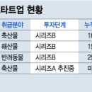 팜스펫 이미지