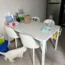 [자취생 이사비용] 1편. 가전 &amp; 가구(우아미가구/샤크/비쎌/퍼리든/보니애가구)