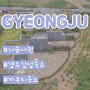 블루인블루펜션 | 경주감성숙소 자쿠지 펜션 지중서원 두번째 다녀온 후기❤️