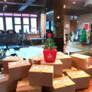 케이제이(KJ) 이미지