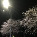 카페더라이트