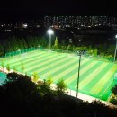 형산강체육공원 축구장 네이버블로그