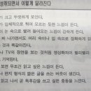 포토그래픽 이미지