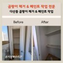 다산18통(플루리움1단지) | 곰팡이 제거 페인트 작업 베란다 벽장 결로 방지 페인트 시공 미사 구리 남양주 다산 별내 의정부