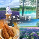 야시대 팜 계란 직판장 | 여행 2일차_ 삿포로 북해도 버스투어, 청의 호수, 흰수염폭포, 비에이, 준페이, 팜토미타, 라마이스프카레