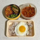 260511-260517 너는 장미보다 아름답....다↘
