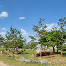 강나루체육공원 이미지