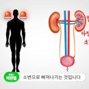 당봄한의원 이미지