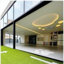 반려담애견유치원 이미지