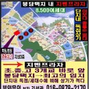 광고프라자 이미지
