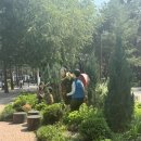 솔밭근린공원 공원화장실 | 소나무 솔 향이 물씬 나는 아이들과 주말 가볼만한 곳 솔밭근린공원 나들이!