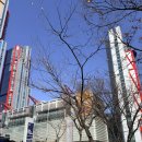 (주)서울파마 | [더현대서울 글루타넥스 팝업후기] 글루타넥스 THE GLOW 방문기ㅎㅎ